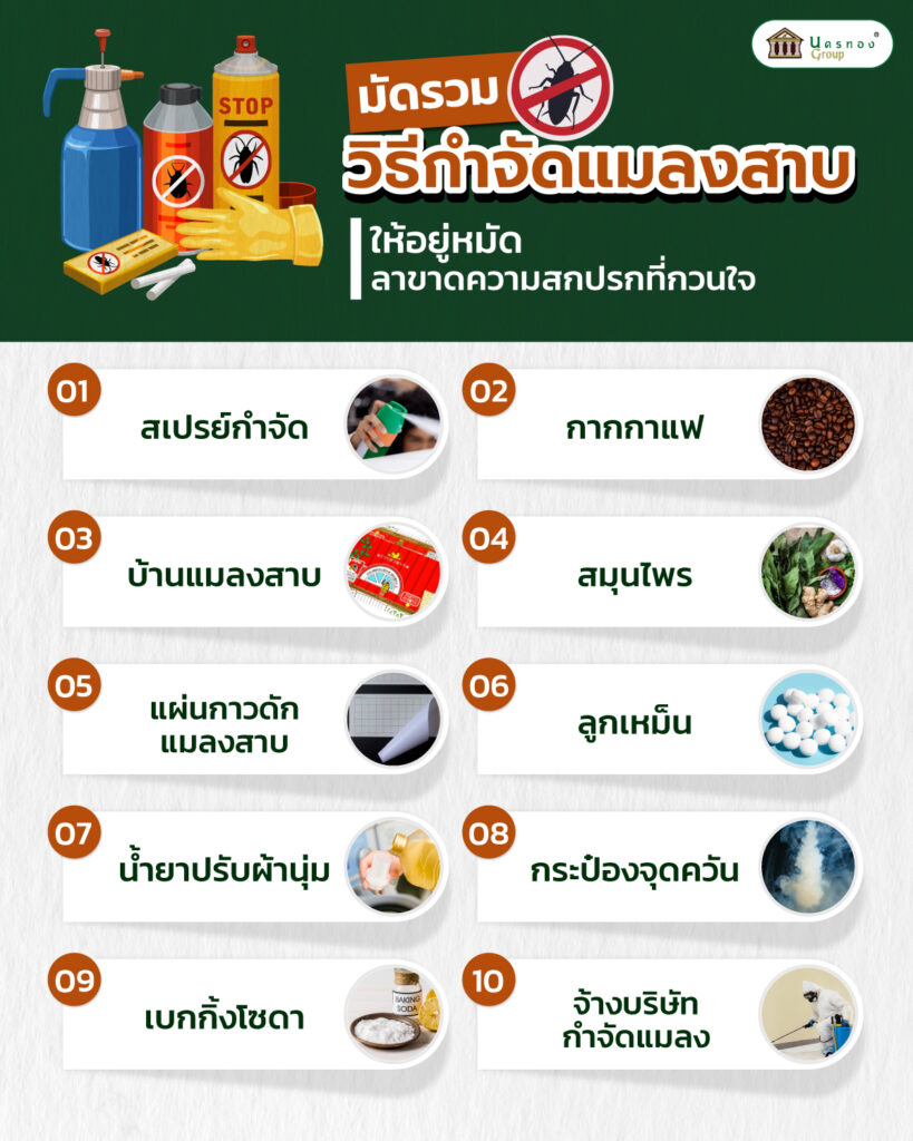 วิธีกำจัดแมลงสาบ