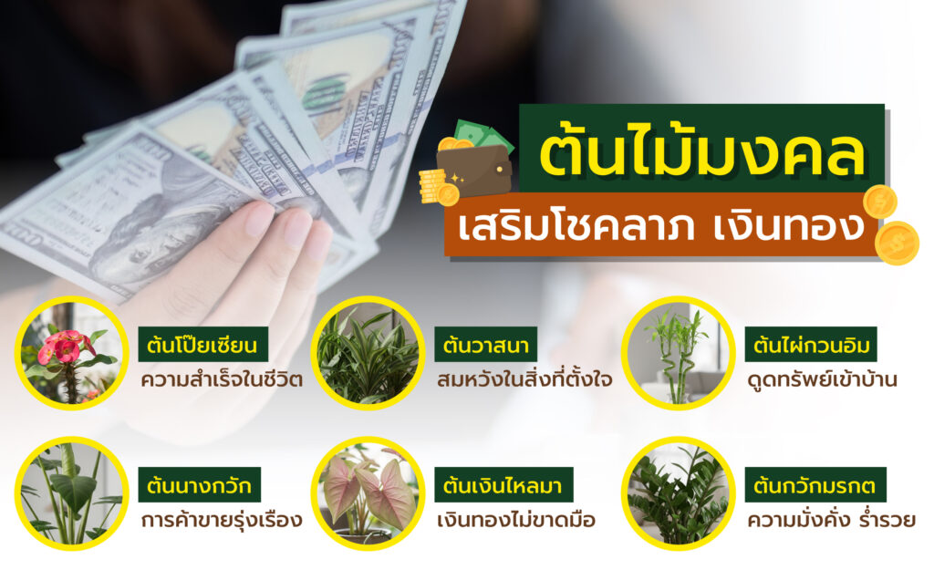 ต้นไม้มงคลปลูกหน้าบ้าน
