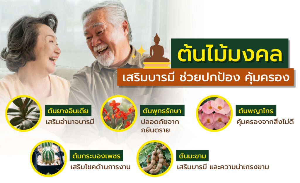 ต้นไม้มงคลปลูกหน้าบ้าน