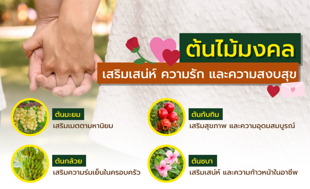 ต้นไม้มงคลปลูกหน้าบ้าน