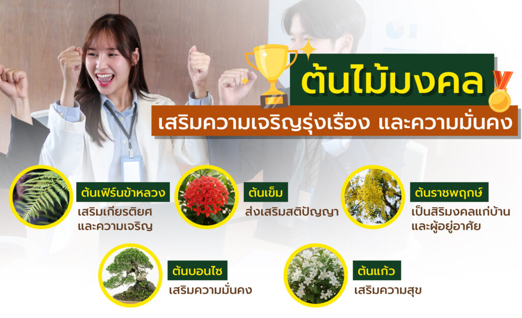 ต้นไม้มงคลปลูกหน้าบ้าน