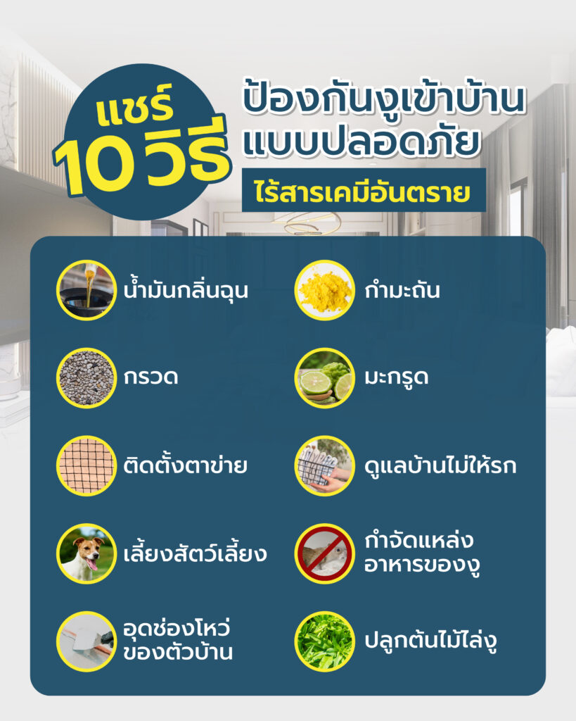 งูเข้าบ้าน