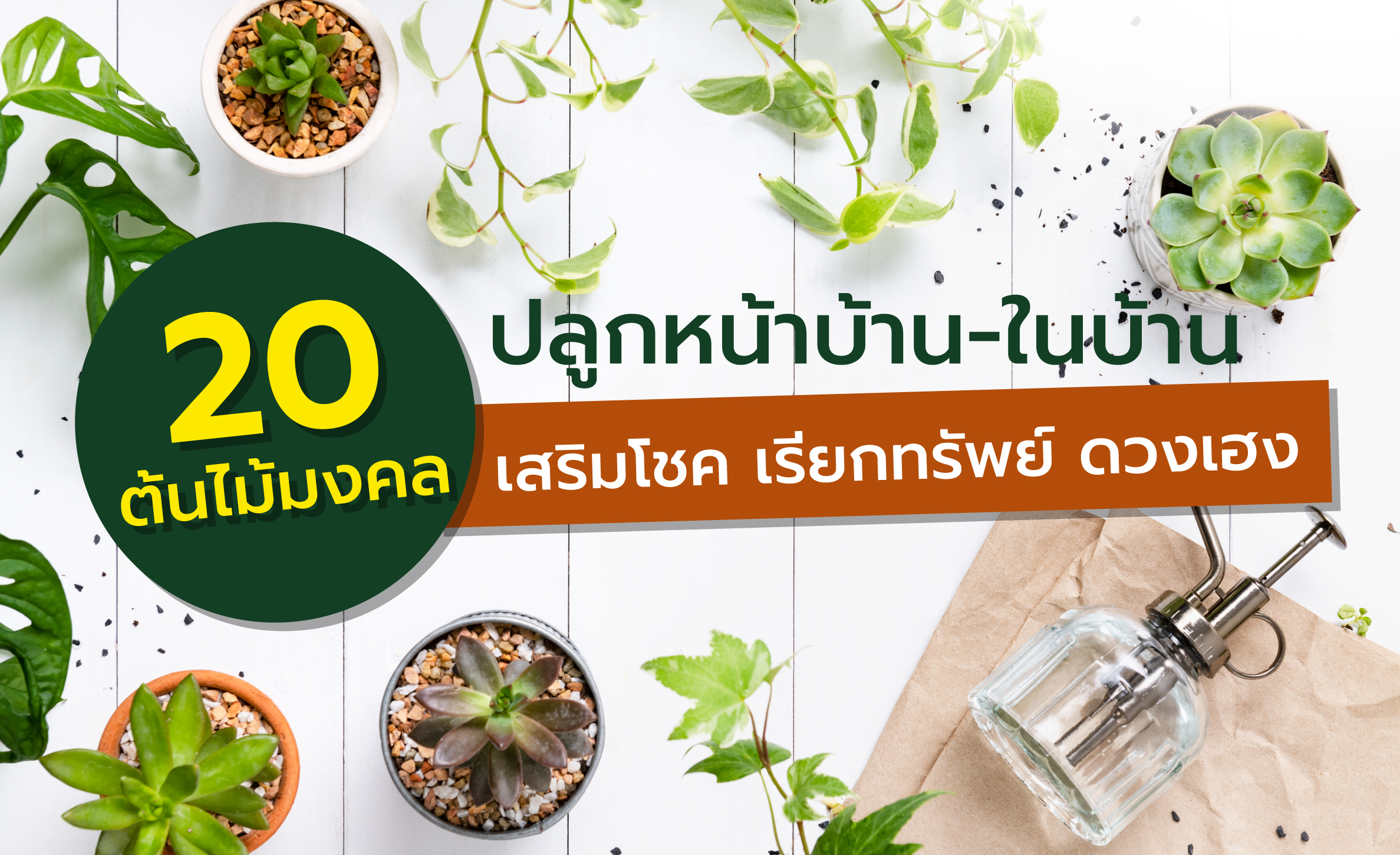 ต้นไม้มงคลปลูกหน้าบ้าน