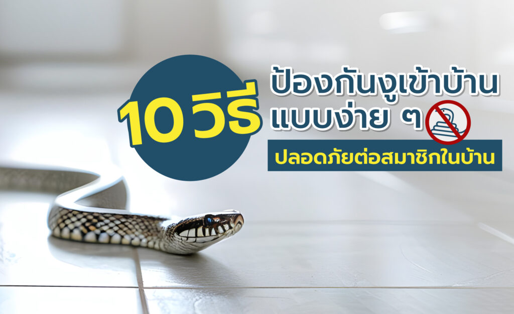 งูเข้าบ้าน