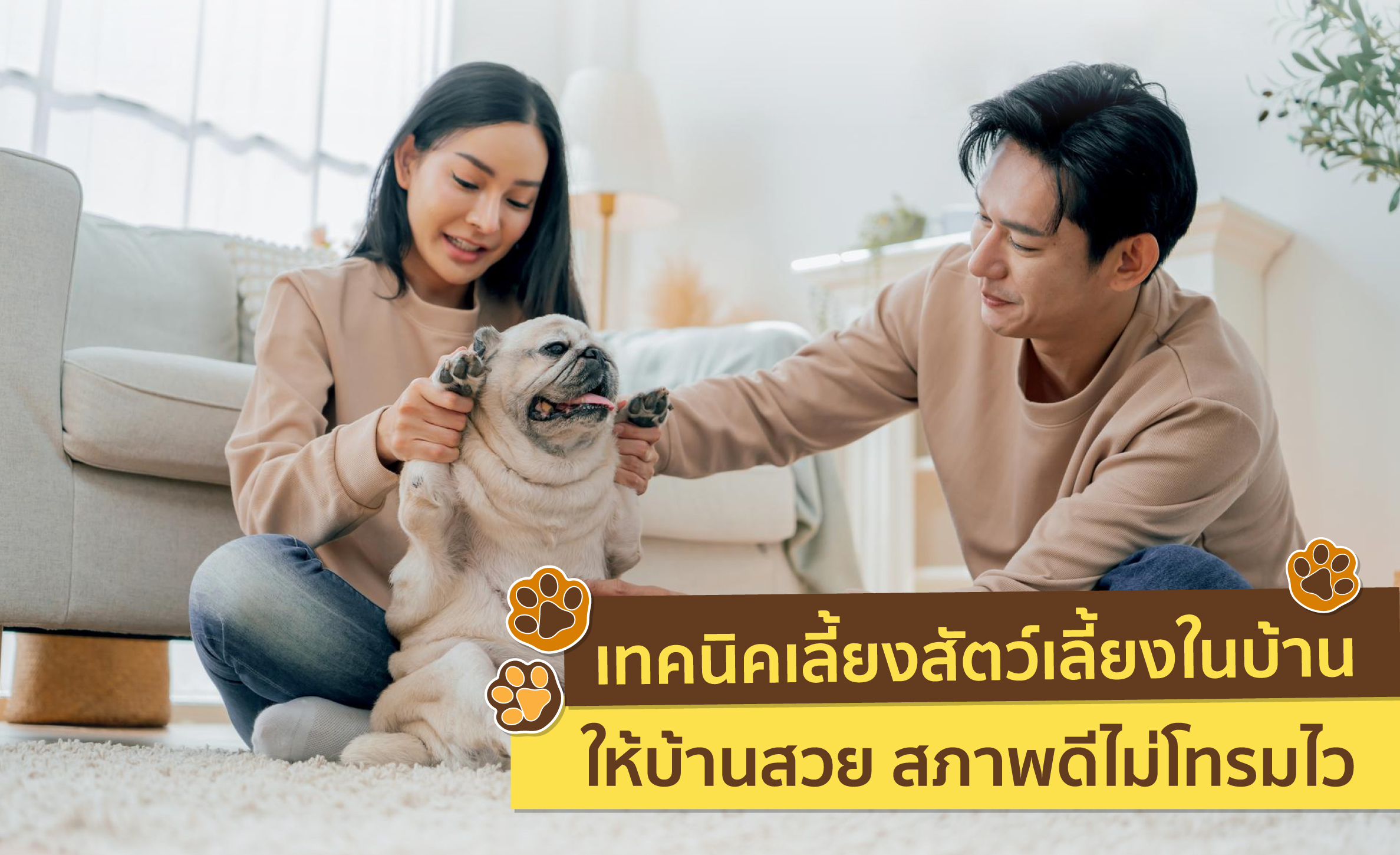 สัตว์เลี้ยง