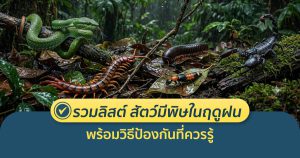 สัตว์มีพิษ