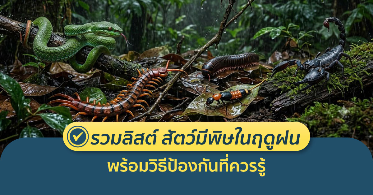 สัตว์มีพิษ