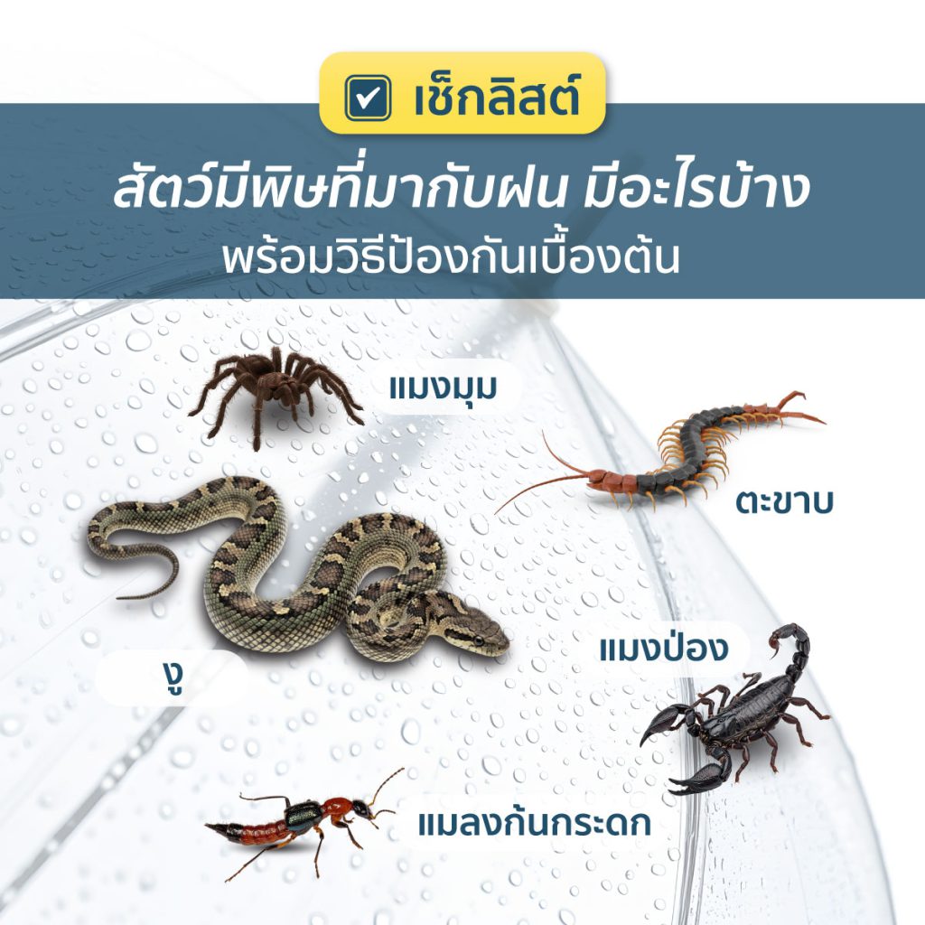 สัตว์มีพิษ