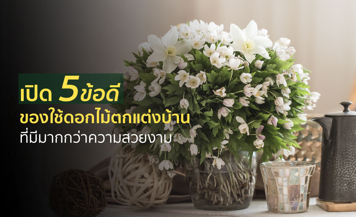 ดอกไม้มงคลปลูกหน้าบ้านแล้วรวย