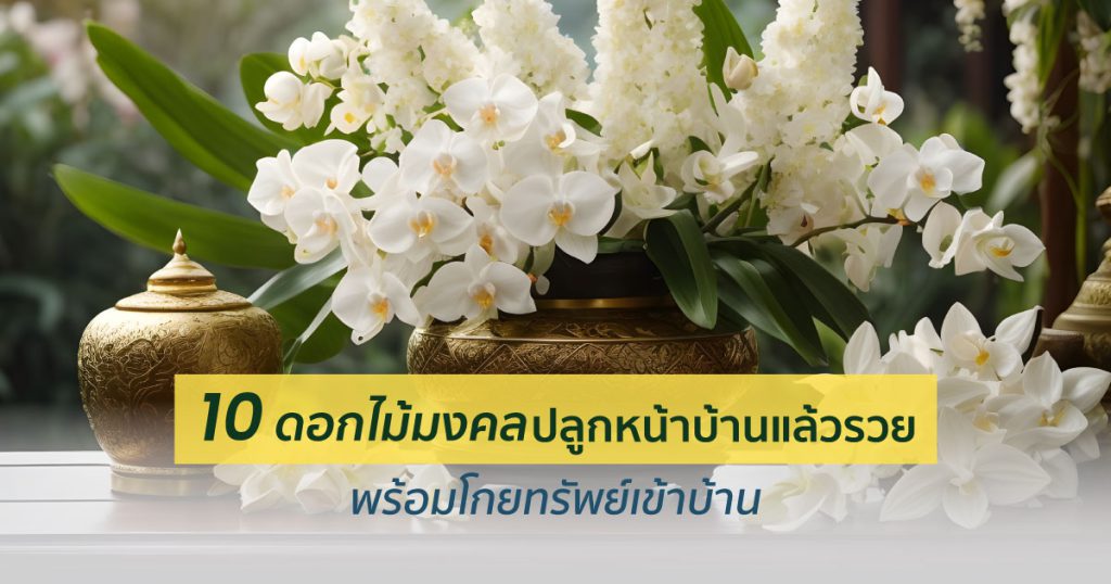 ดอกไม้มงคลปลูกหน้าบ้านแล้วรวย